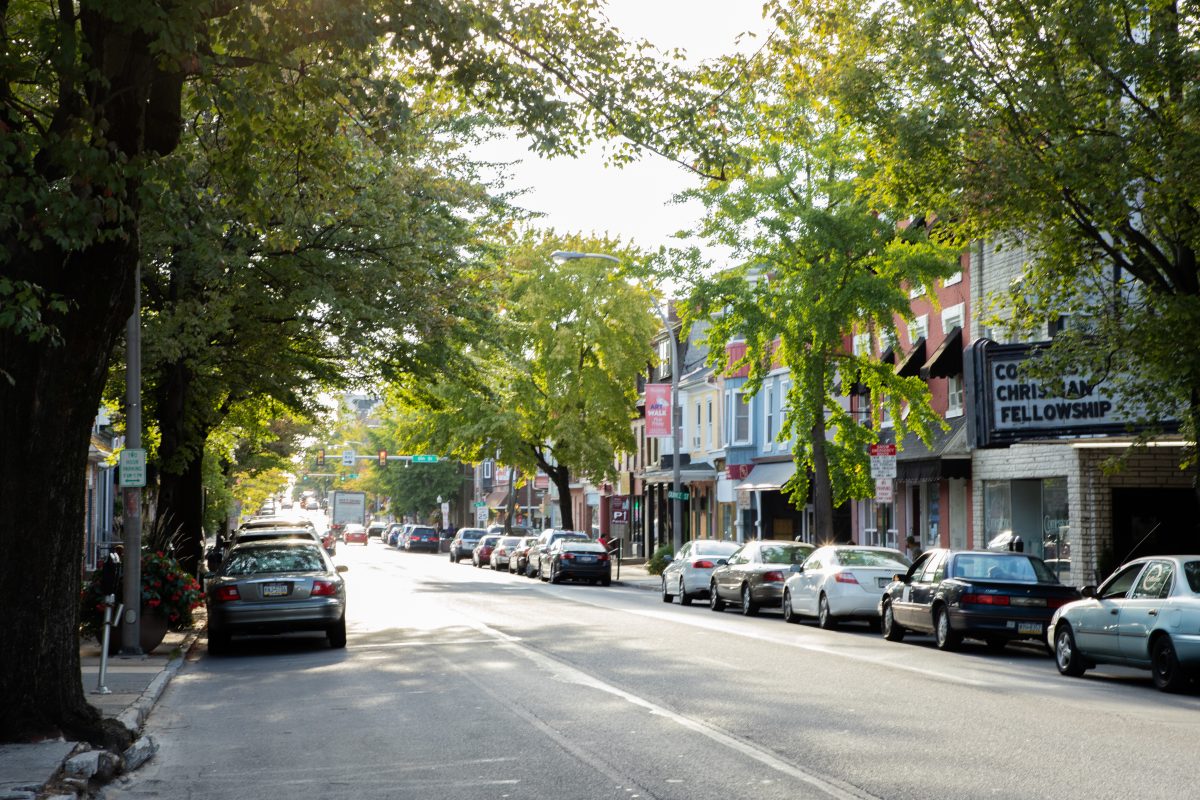 Pest Control Lebanon, NJ Lebanon Pest Control Ace Tech