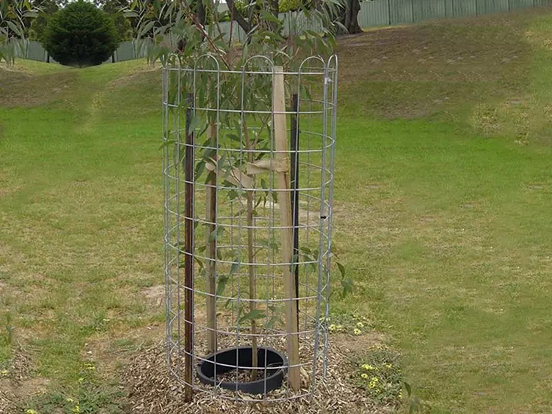 Tree Guard Ace Wire Works