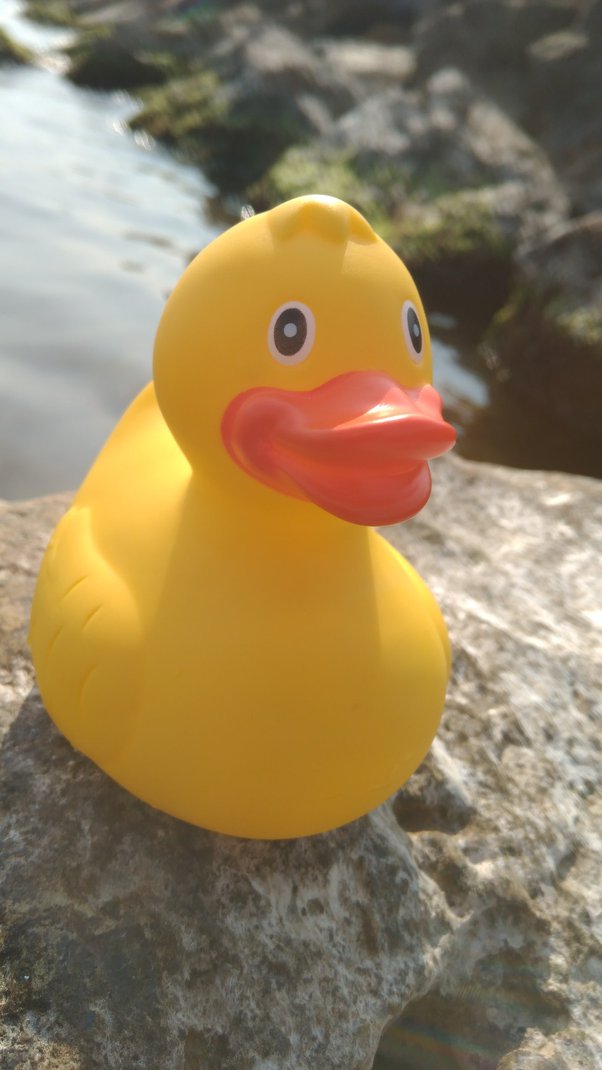 What is the exact function of a rubber duck? What is their purpose