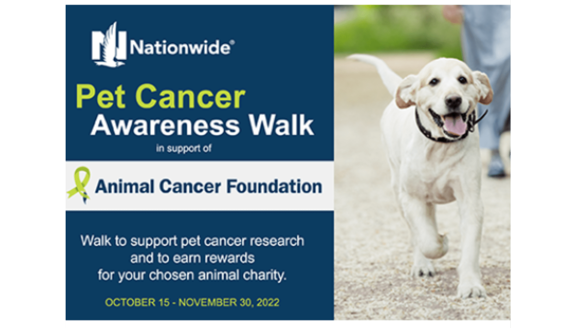 2022 Nationwide Pet Cancer Awareness Walk Animal Cancer Foundation