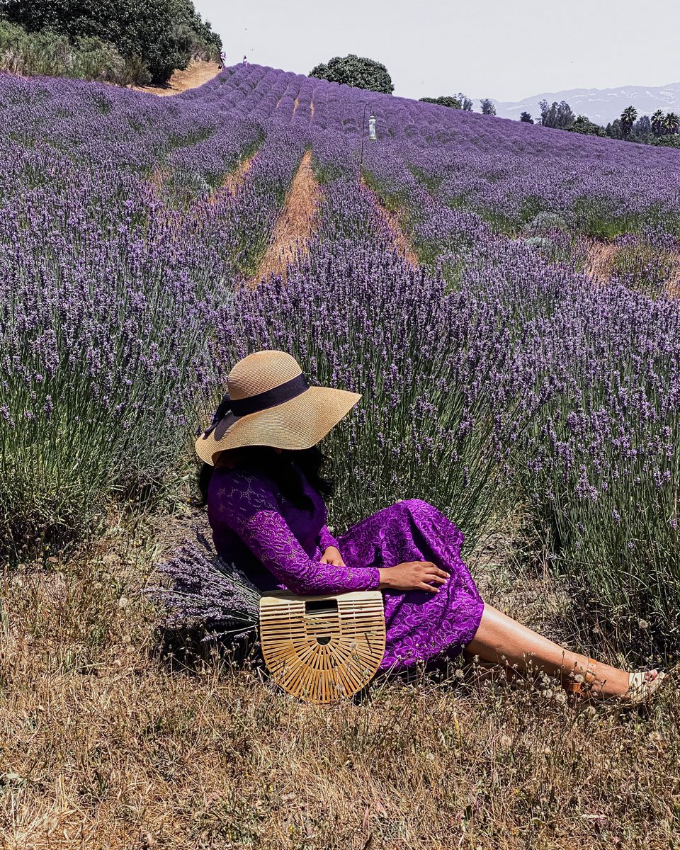 Sonoma Lavender Festival 2023 11 Best Lavender Fields To Visit In California — A Charming Escape