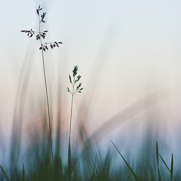 Achieve Wellness Center Integrative Therapies Orange, CT 06477