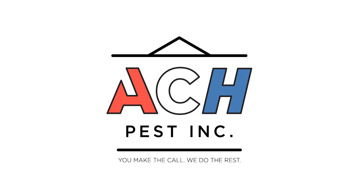 Pest Control Killeen Texas Pest Control