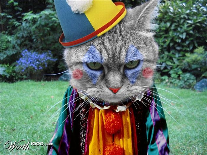 Clown Animals (20 pics)