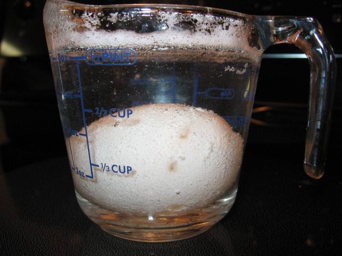 Naked Egg Experiment. Egg vs Vinegar (12 pics)