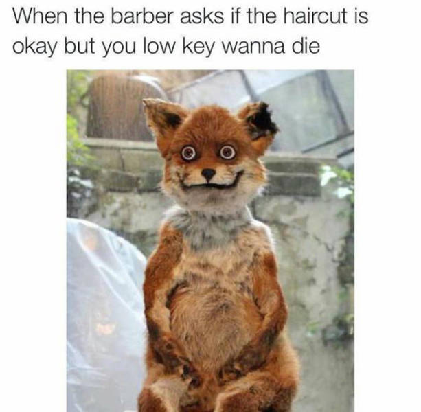 More Hilarious Memes To Make You Laugh When You Need It Most (36 pics)