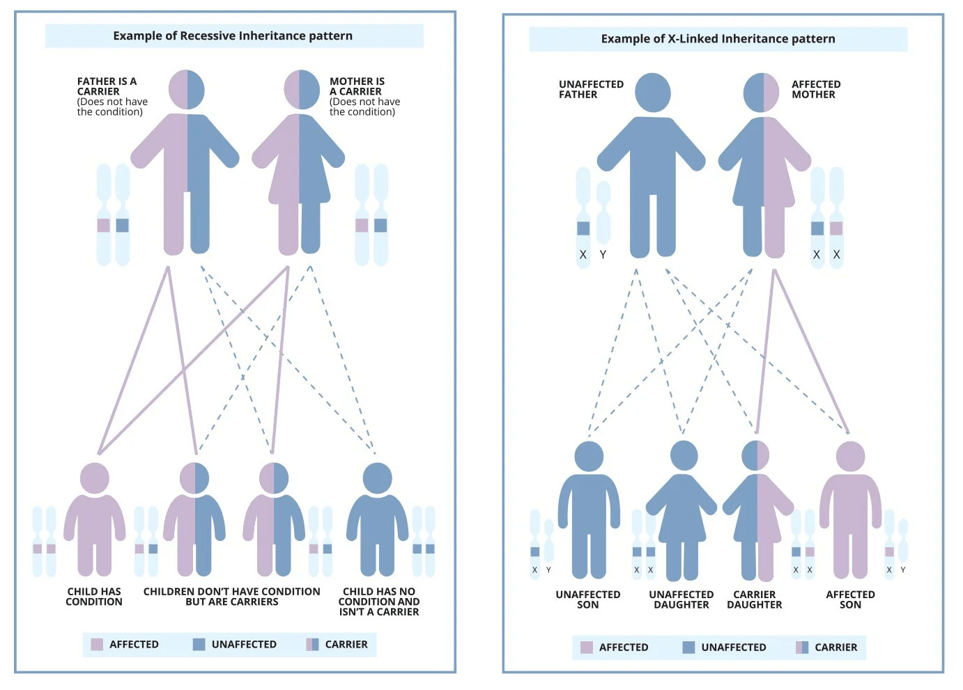 Carrier Testing CGT Australian Concept Infertility Medical