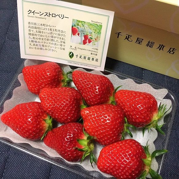 Most Valuable Fruit Series Sembikiya Queen Strawberries