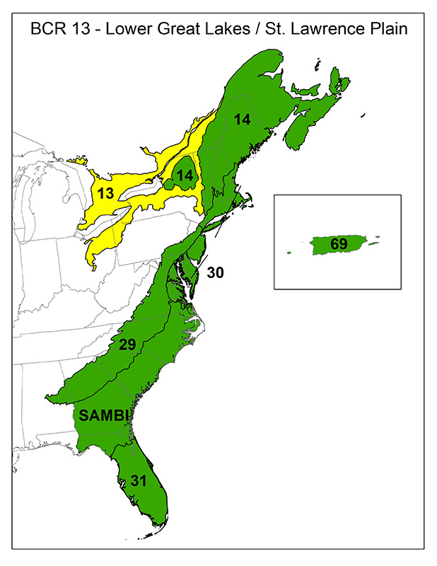 Atlantic Coastal Plain Map Tools And Data - Atlantic Coast Joint Venture