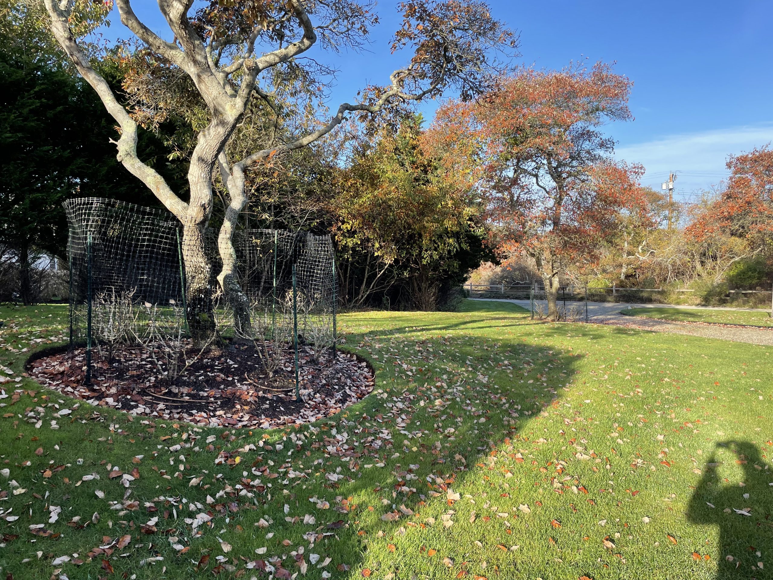 Project Photos Nantucket Property Management ACK Estates