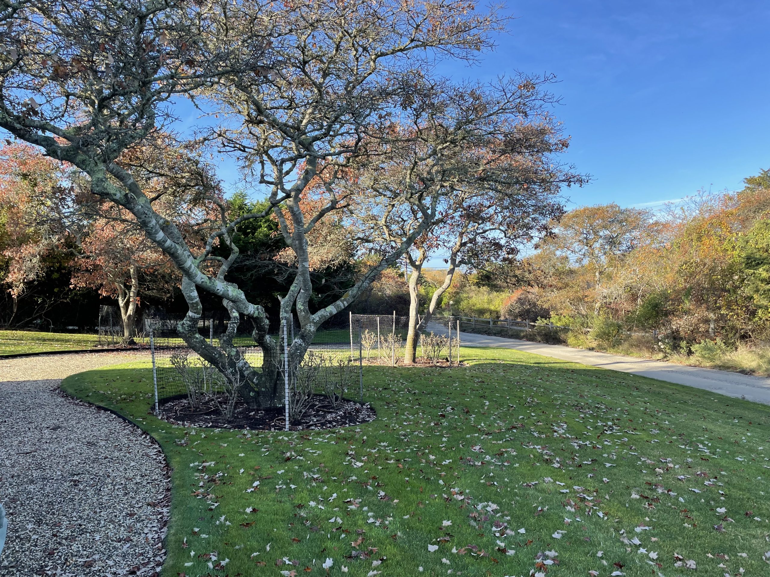 Project Photos Nantucket Property Management ACK Estates