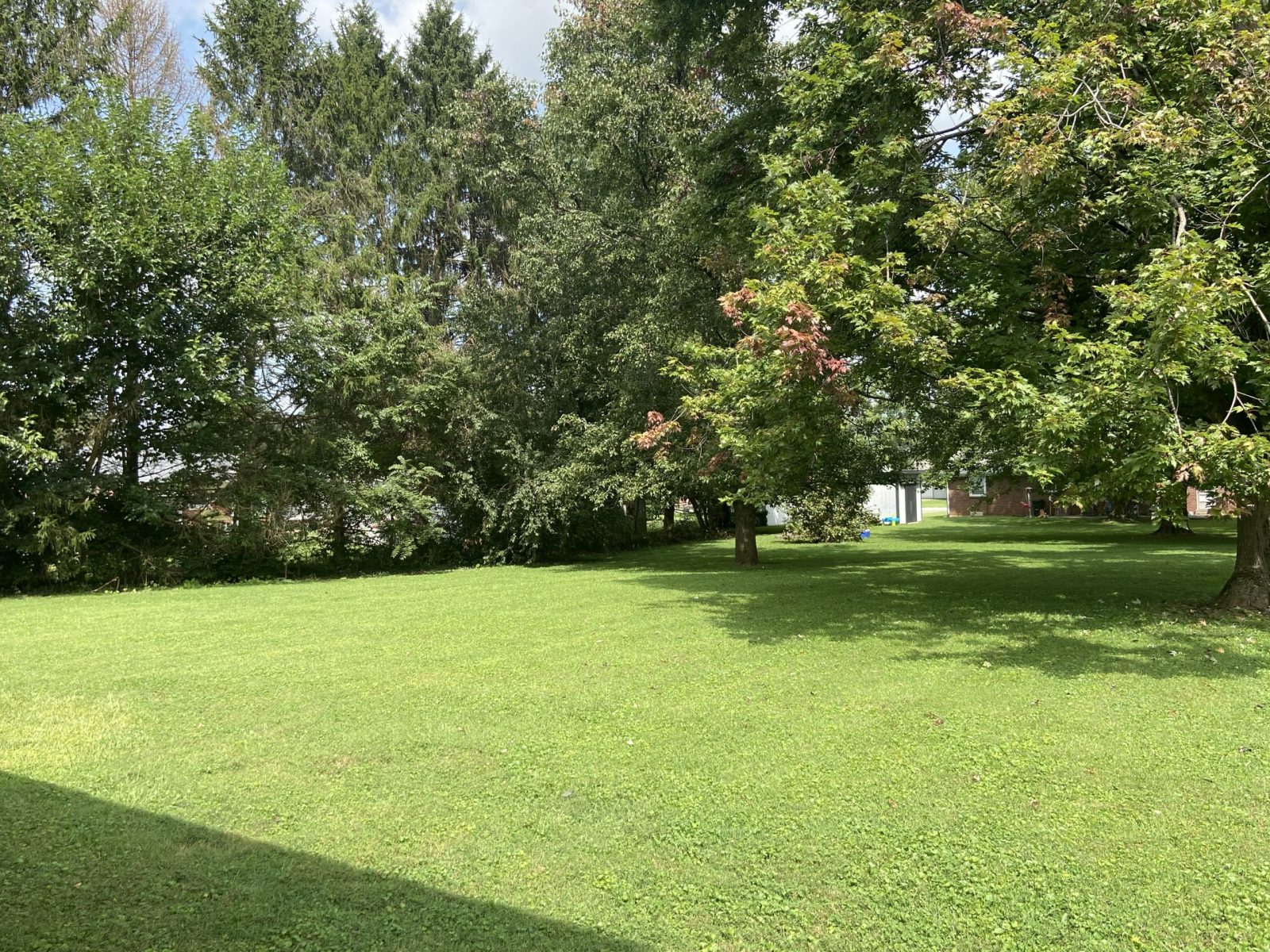 Back yard view Ackie Realty