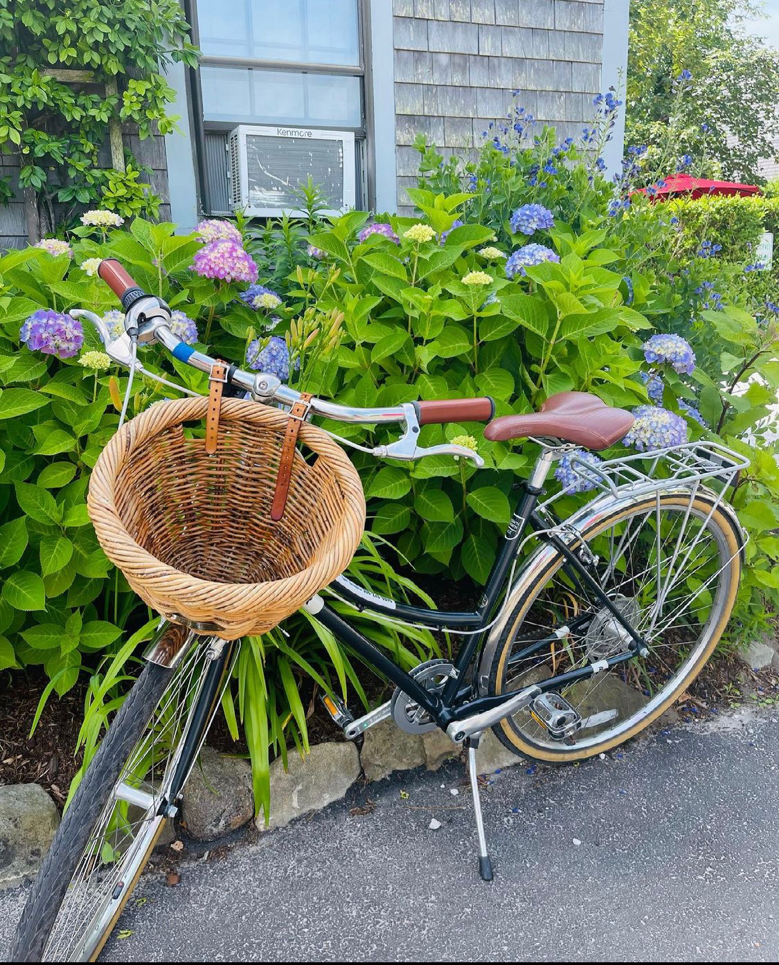 Top 5 Things To Do On Nantucket When You Rent a Bike · Ack Natural
