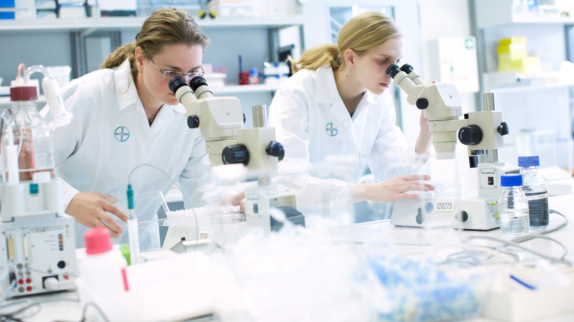 Bayer Foundation abre inscrições para o programa Intensive Track