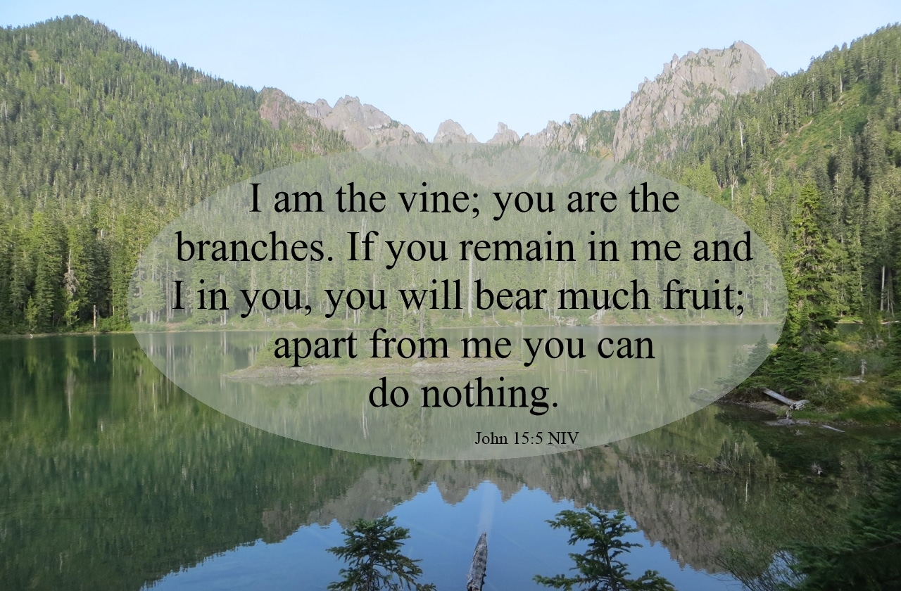 Remain in Christ To Be Fruitful John 155 A Clay Jar