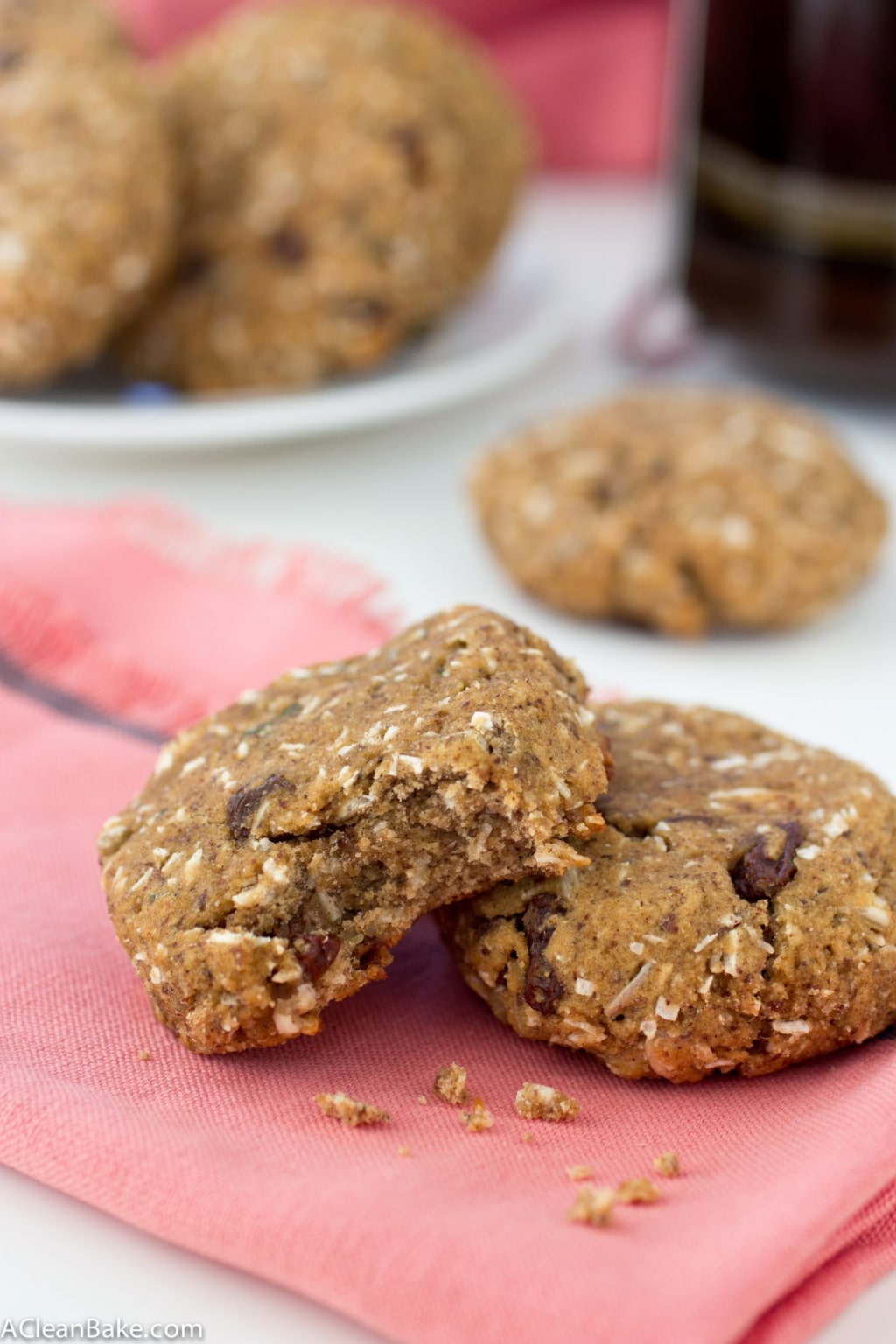 Nut Free Breakfast Cookies (Gluten Free and Paleo)