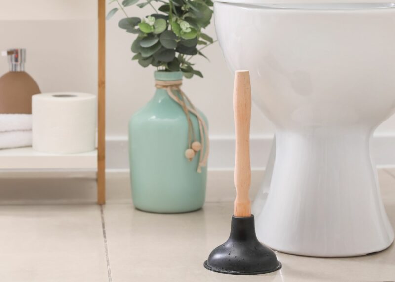 How to Clean a Toilet Plunger