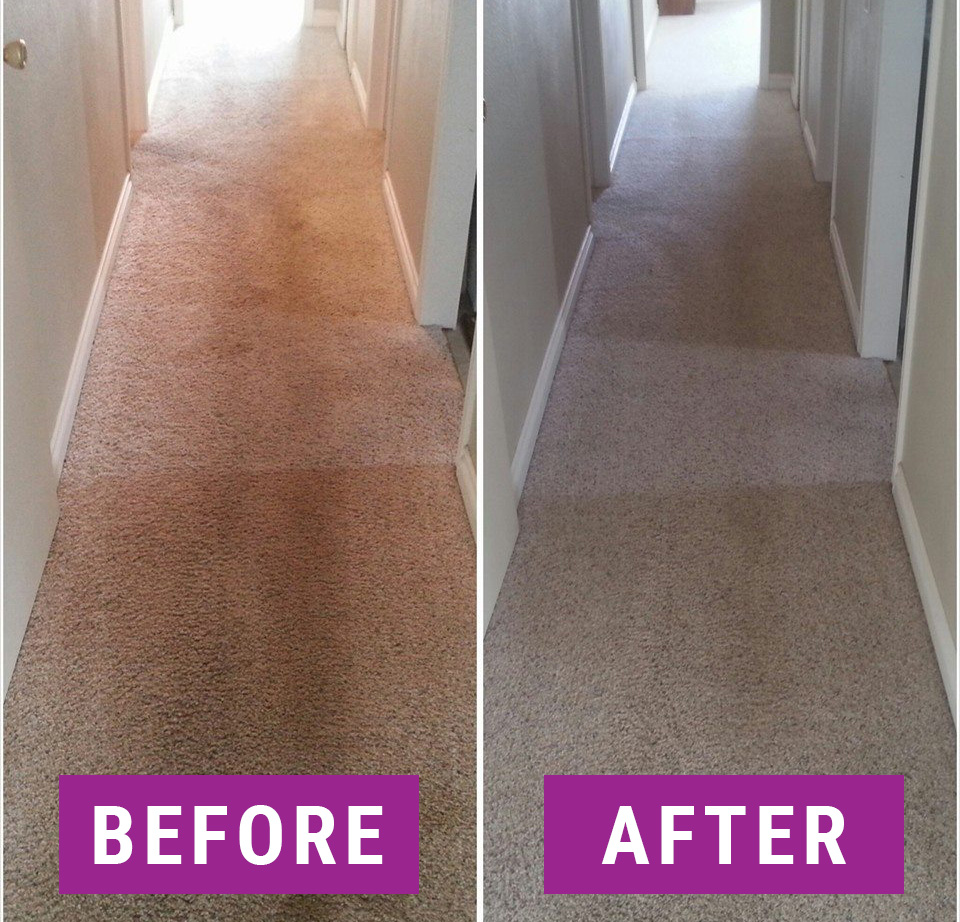 Gallery A Clean Choice Carpet Cleaning