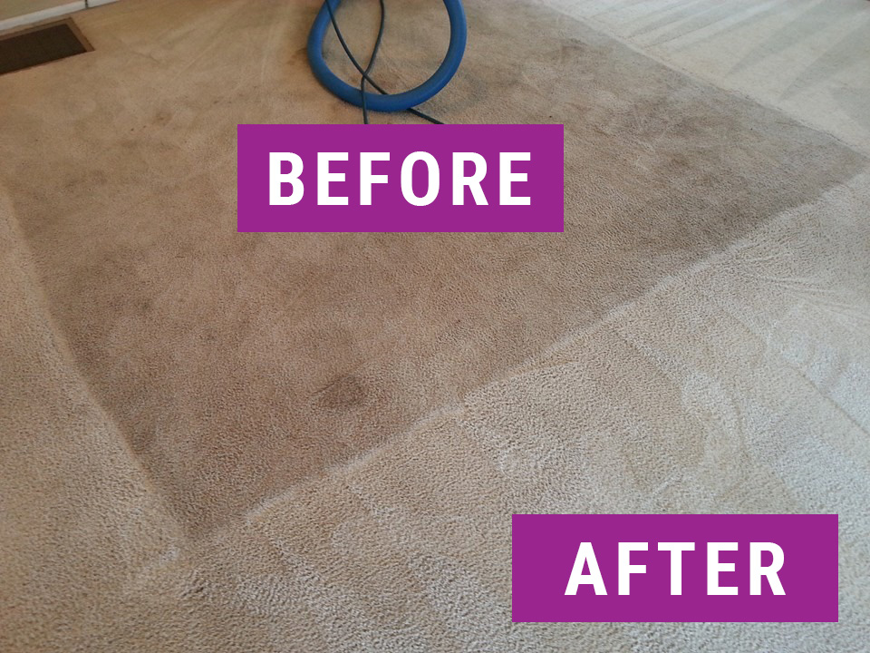 Gallery A Clean Choice Carpet Cleaning