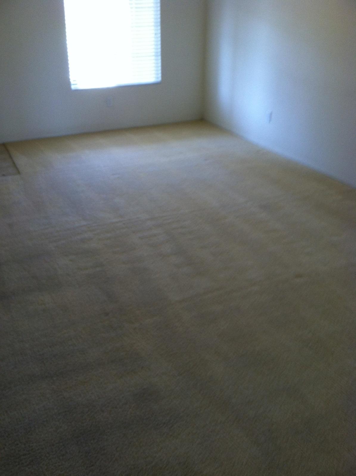 360 XL By Carl After Raking 1 Carpet Cleaning Victorville