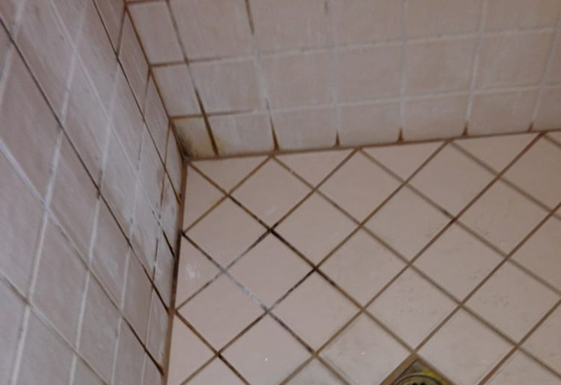 A Clean Slate Carpet & Floor Cleaning Service in Fresno