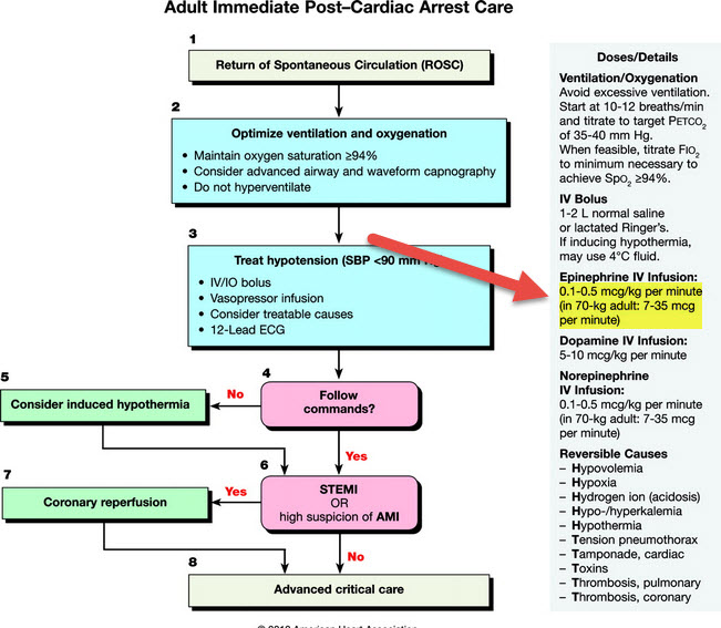 epinephrine drip post arrest Learn & Master ACLS/PALS