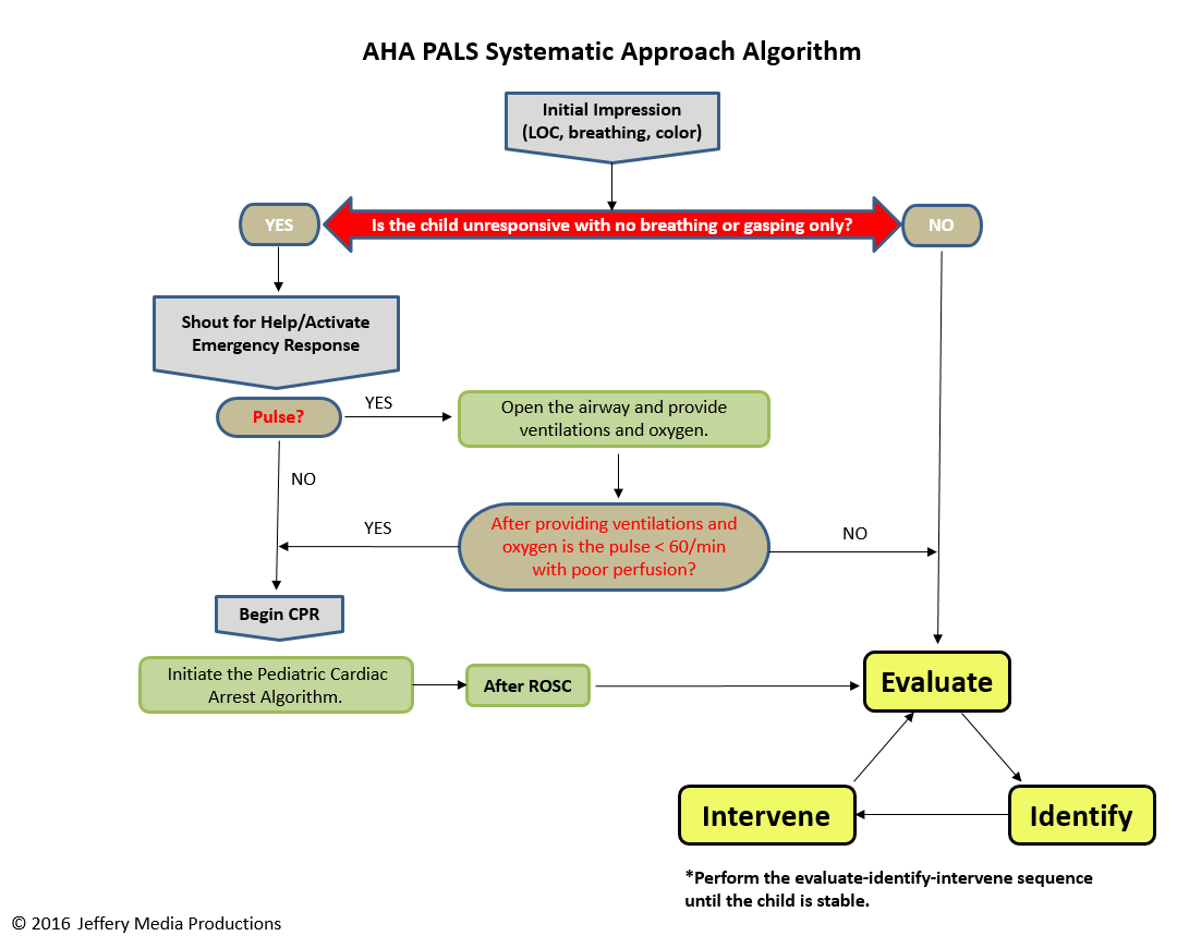 PALS systematic approach algorithm