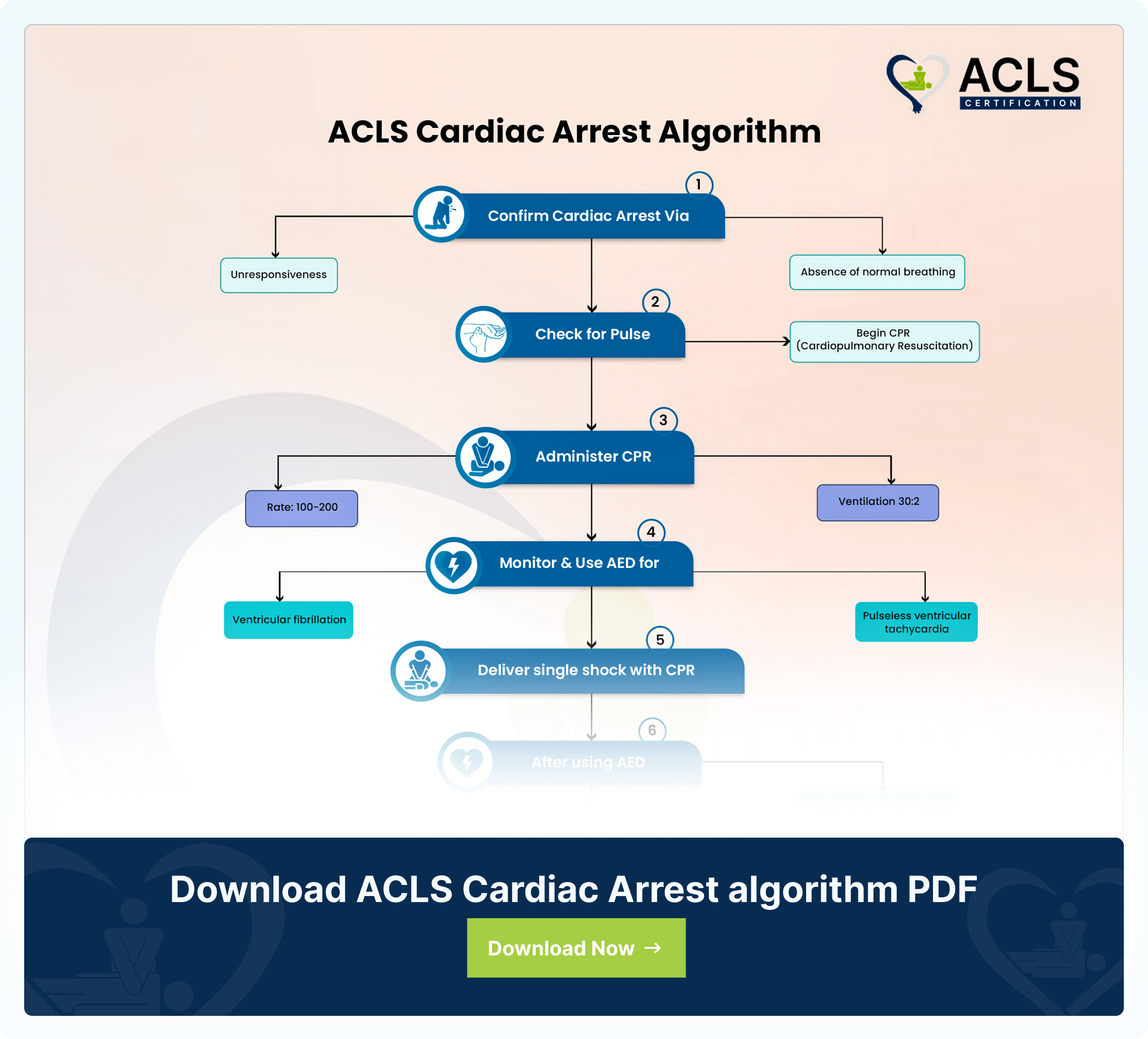 ACLS Algorithms - Complete Advanced Cardiac Life Support Protocols