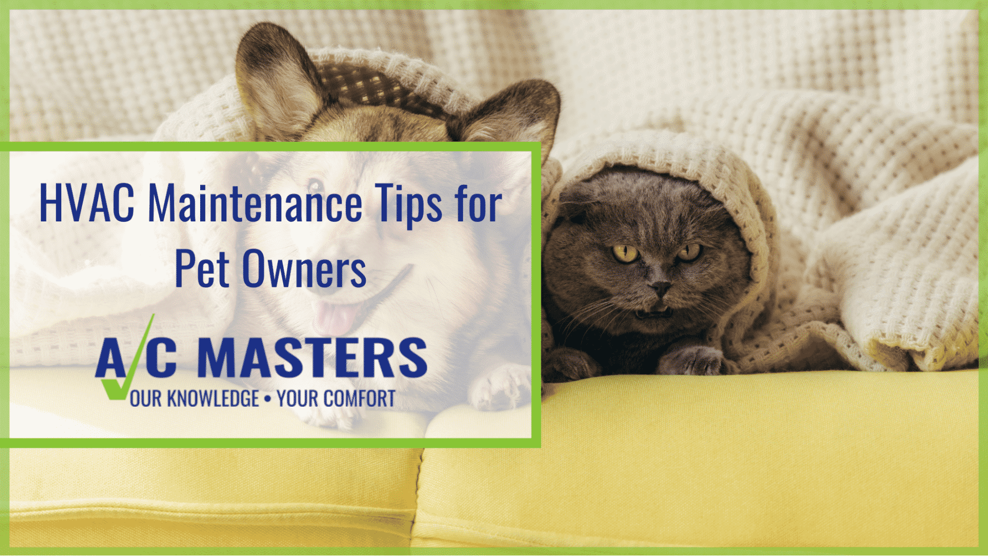 HVAC Maintenance Tips for Pet Owners A/C Masters Heating & Air