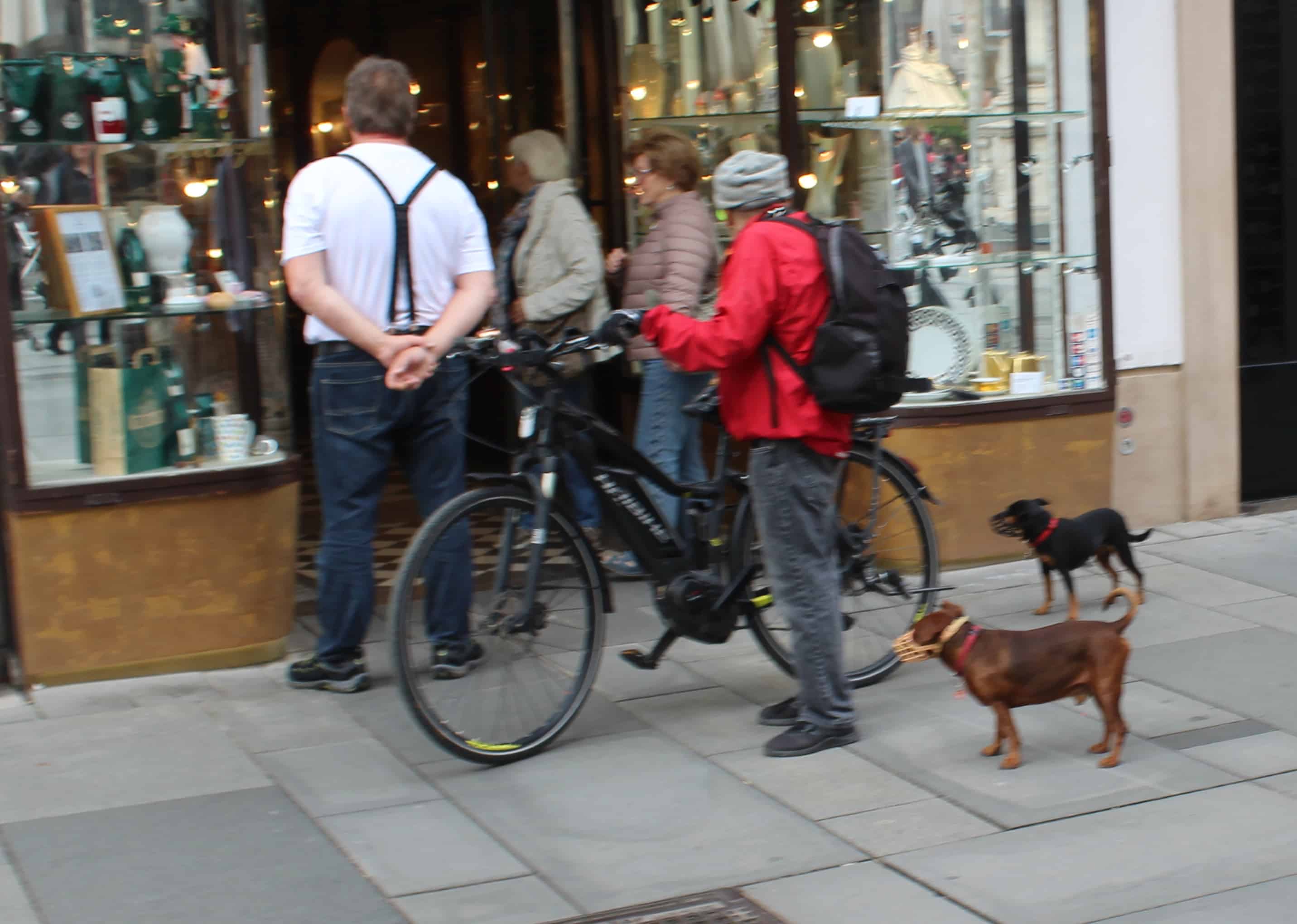 Dogs of Austria Acme Canine