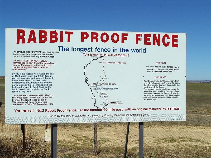 Study guide Rabbit Proof Fence ACMI Your museum of