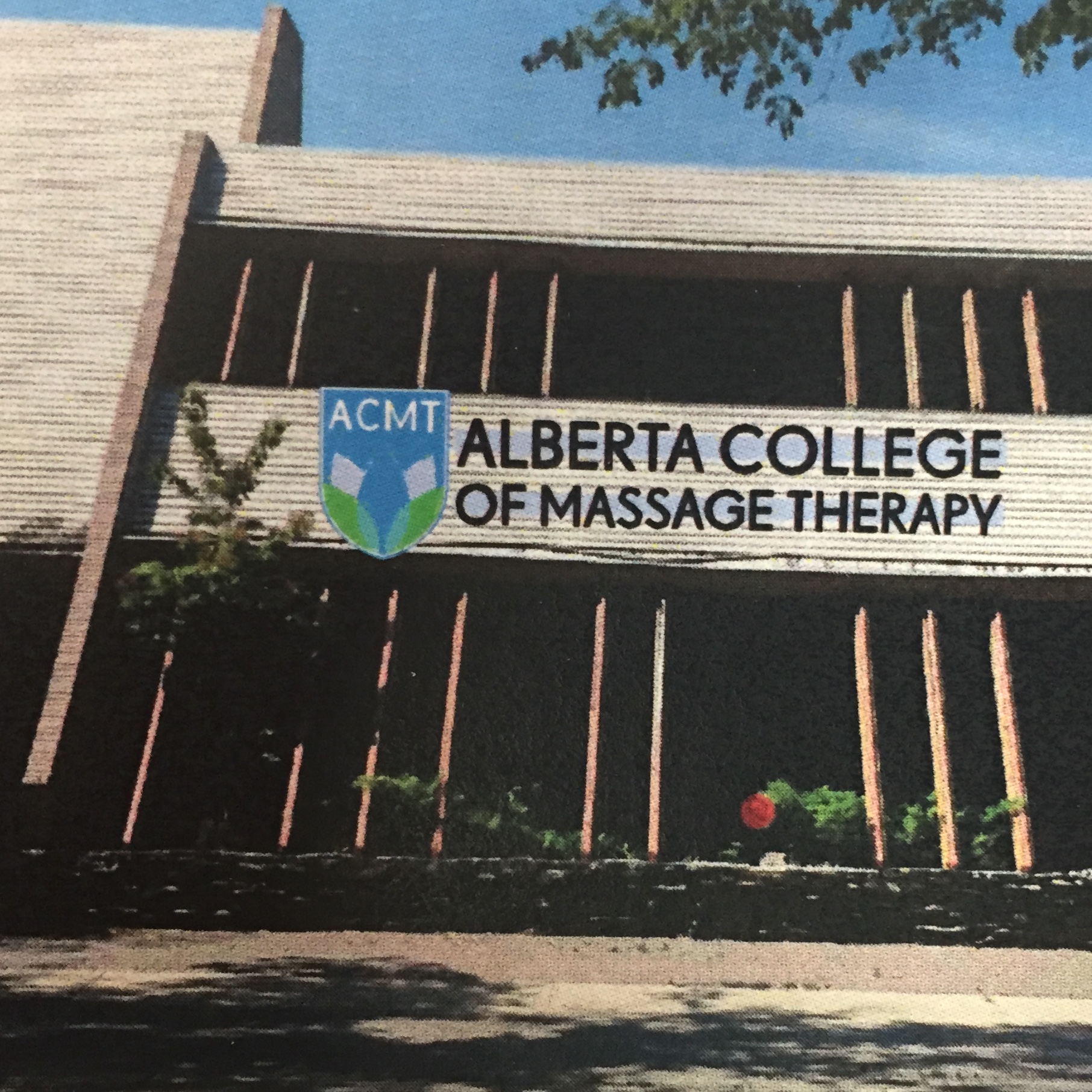 Massage Programs Alberta College of Massage Therapy