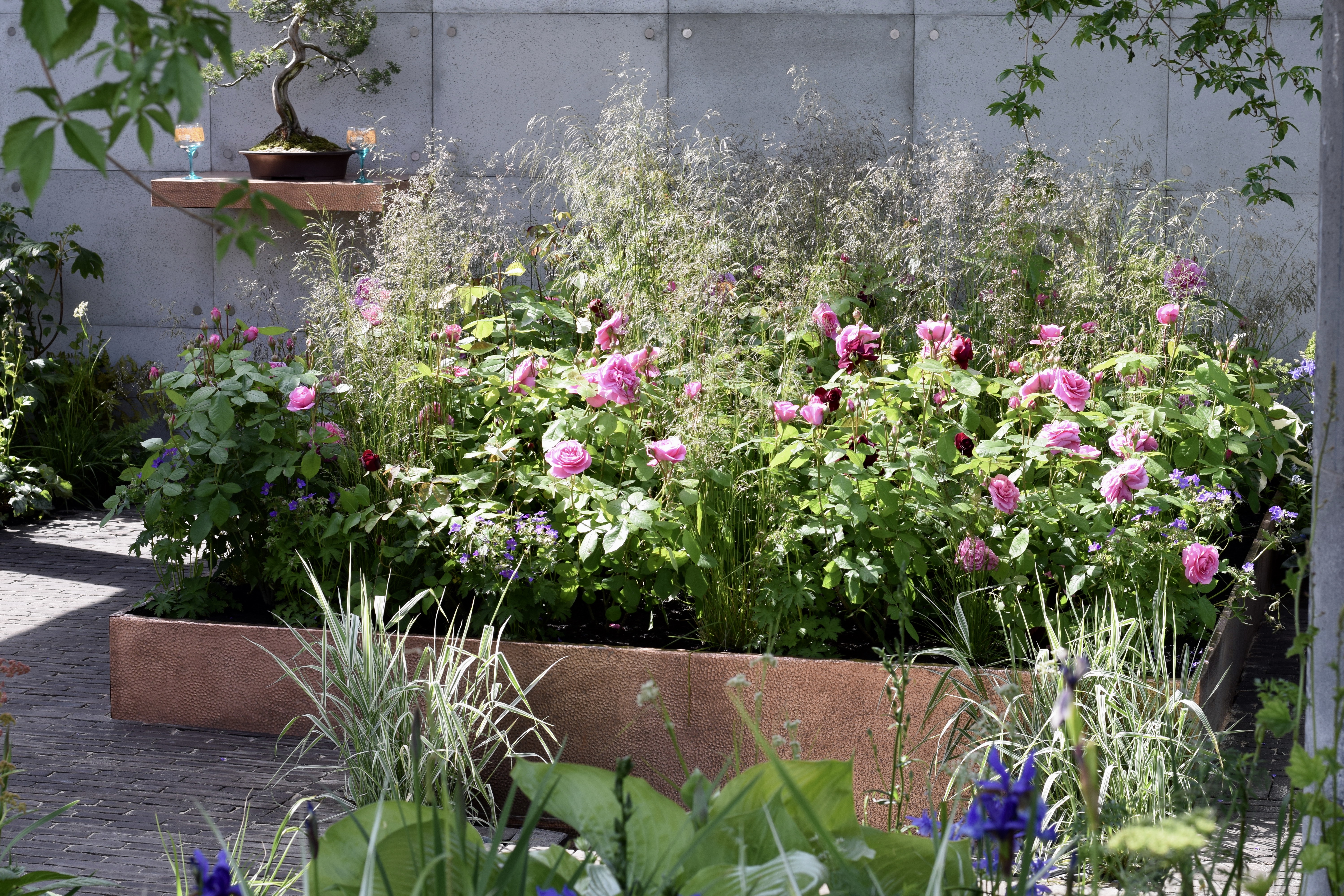 Rewilding – The Chelsea Flower Show 2019 | Acoastalplot