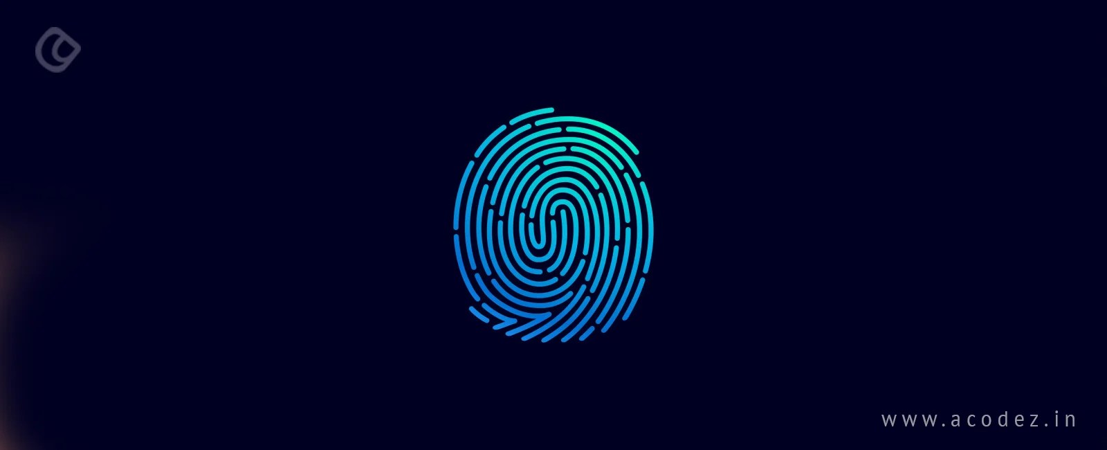 Application to Demonstrate Browser Fingerprinting Javascript