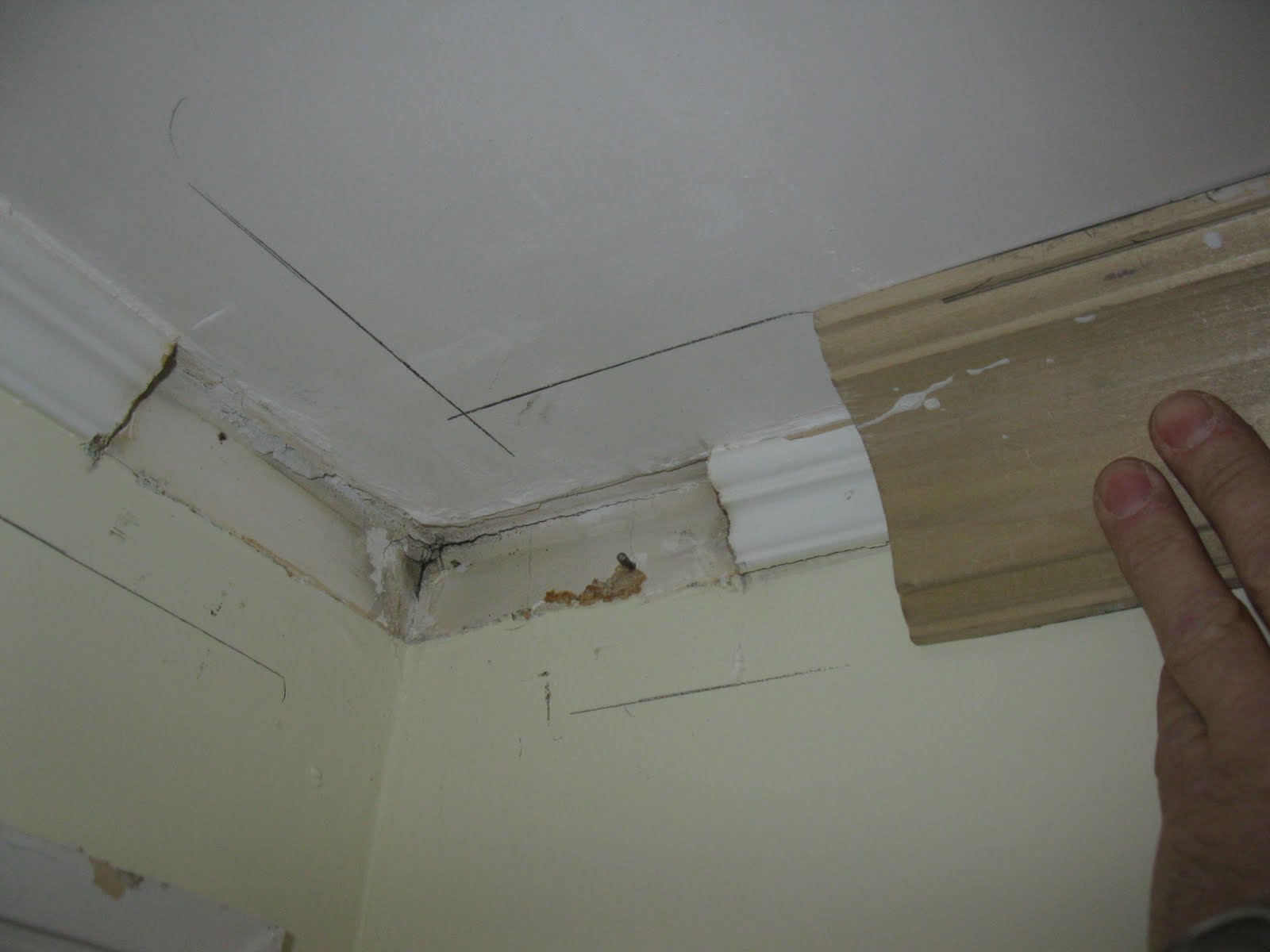 Crown Molding Nail Size Nail Ftempo