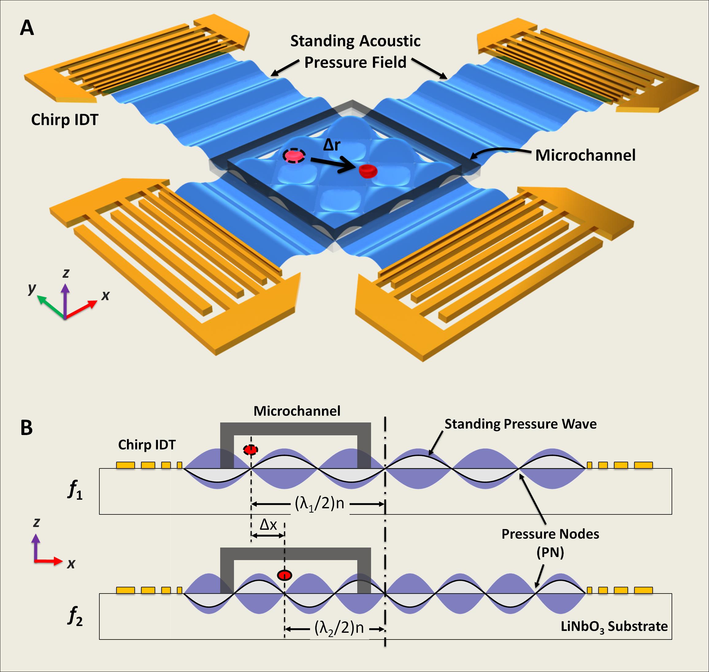 » 3aPA3 Standing Surface Acoustic Wave Enabled Acoustofluidics for
