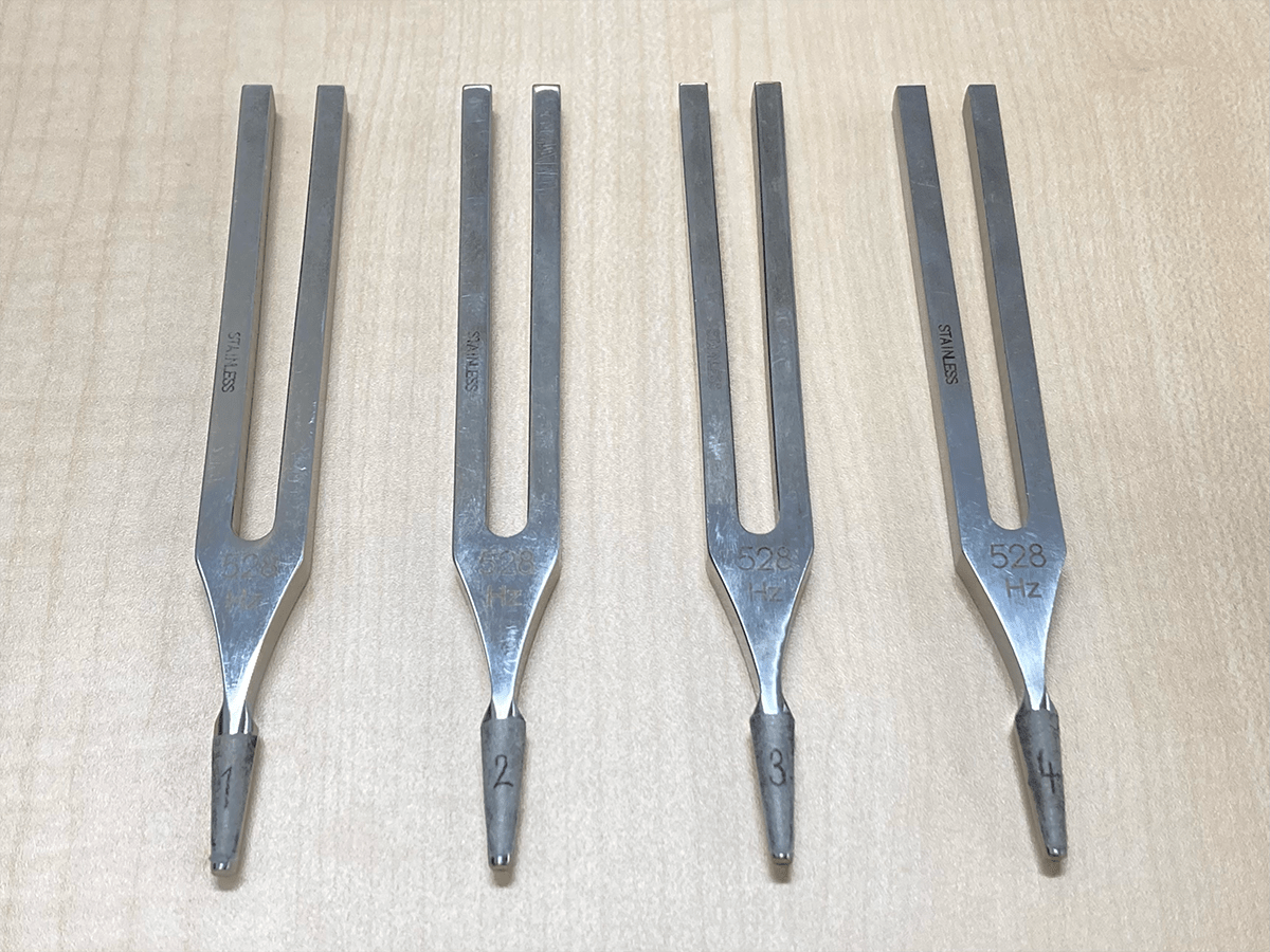 Evaluation of individual differences of vibration duration of tuning forks