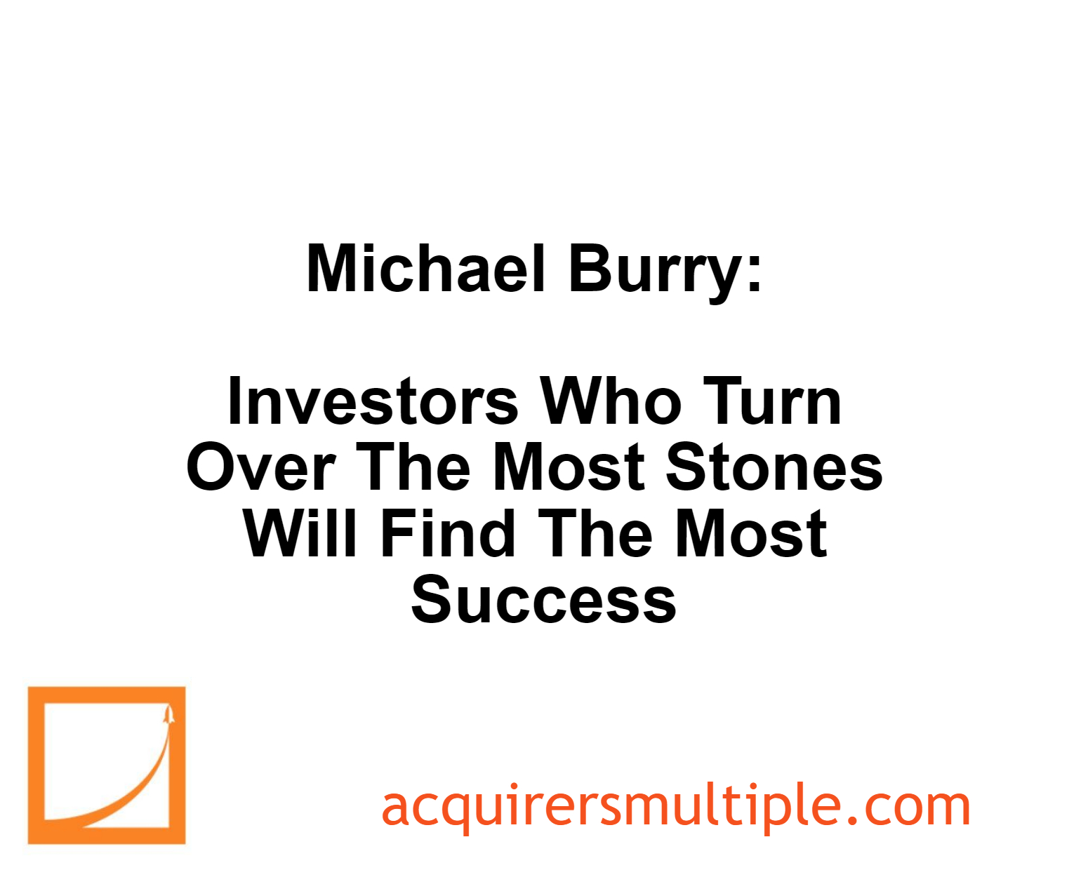 Michael Burry Investors Who Turn Over The Most Stones Will Find The