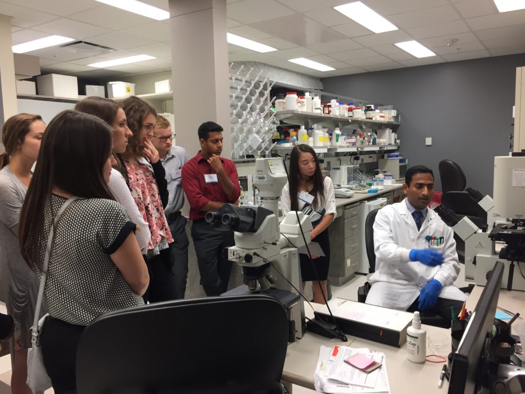 Internship Opportunities at the Mayo Clinic ACR Homes