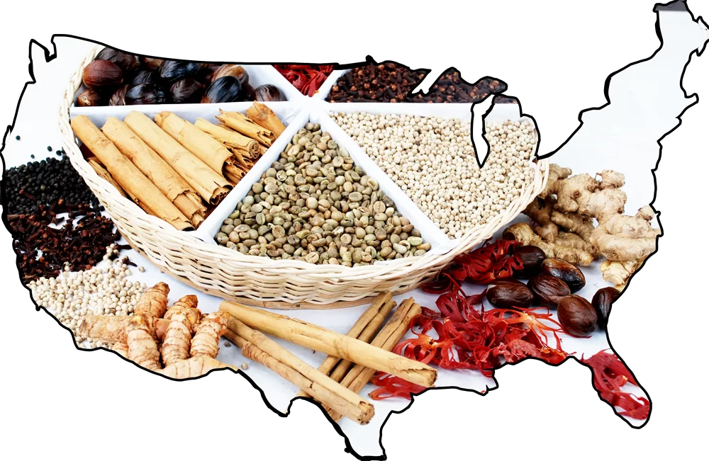 05 Best Selling Spices In the United States [Spices in USA]