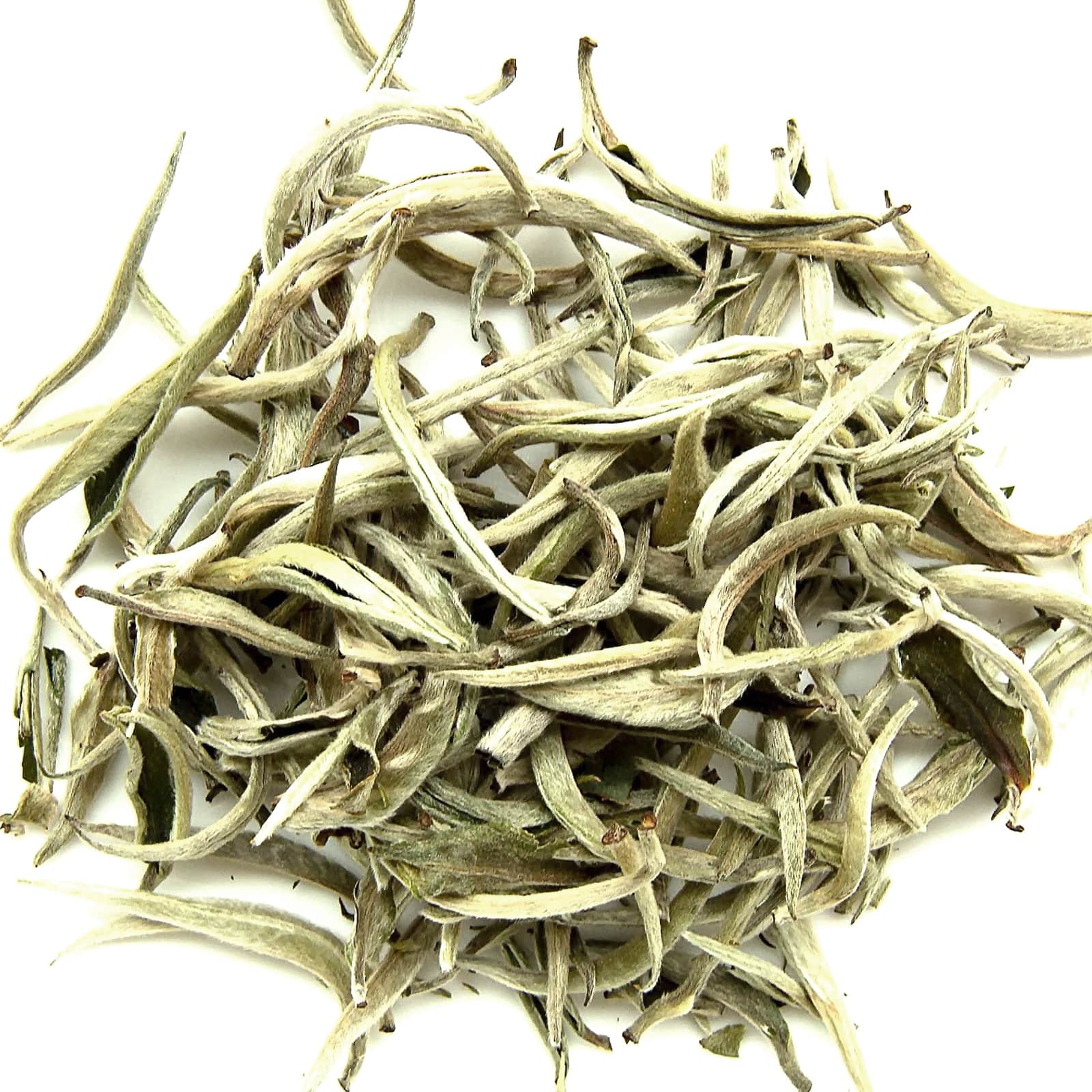 Silver Tips Tea 1KG Unlocking the Elegance of Silver Needle Tea