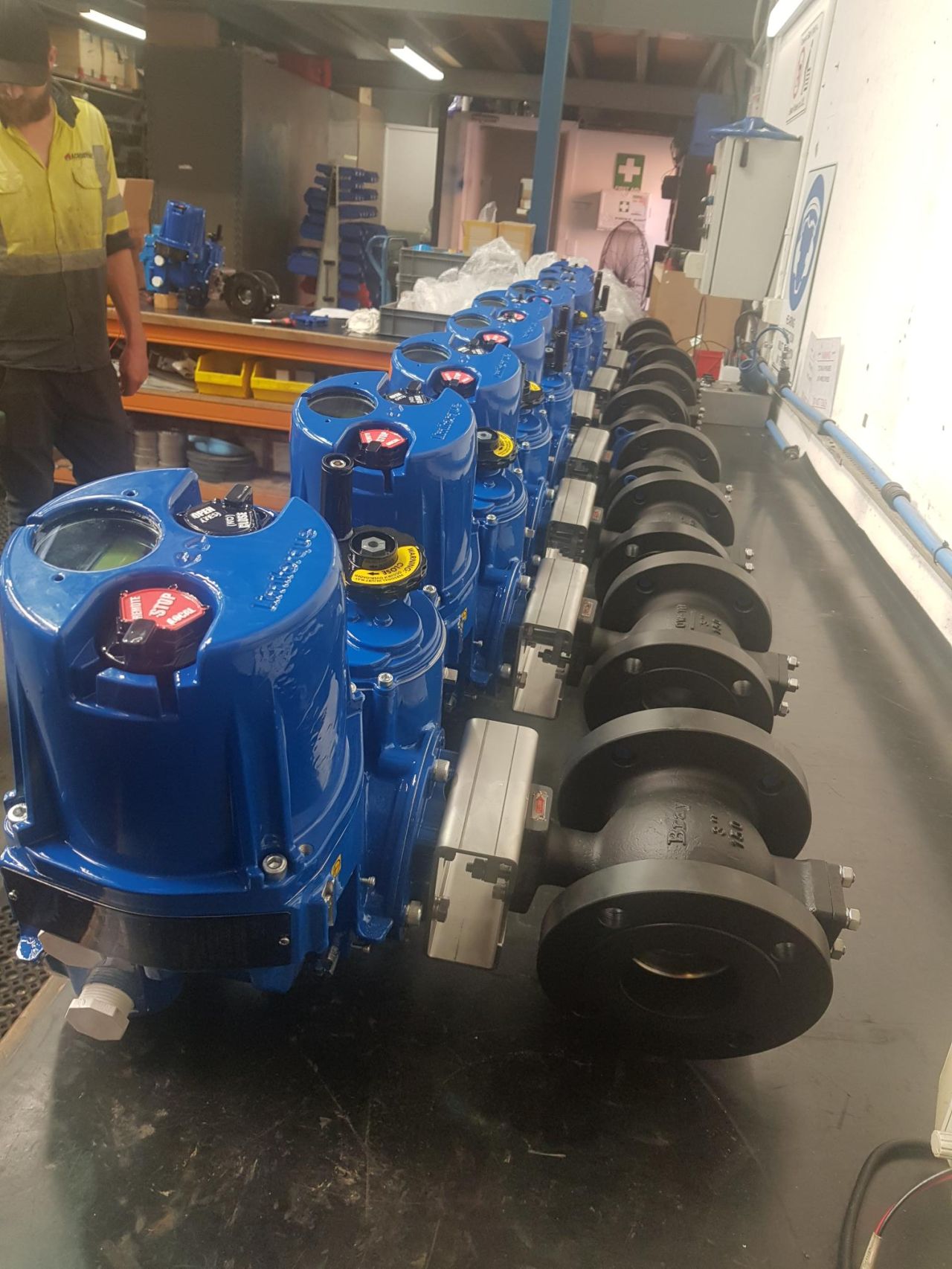 Limitorque QX Electric Actuators IECEX 2 Acrodyne