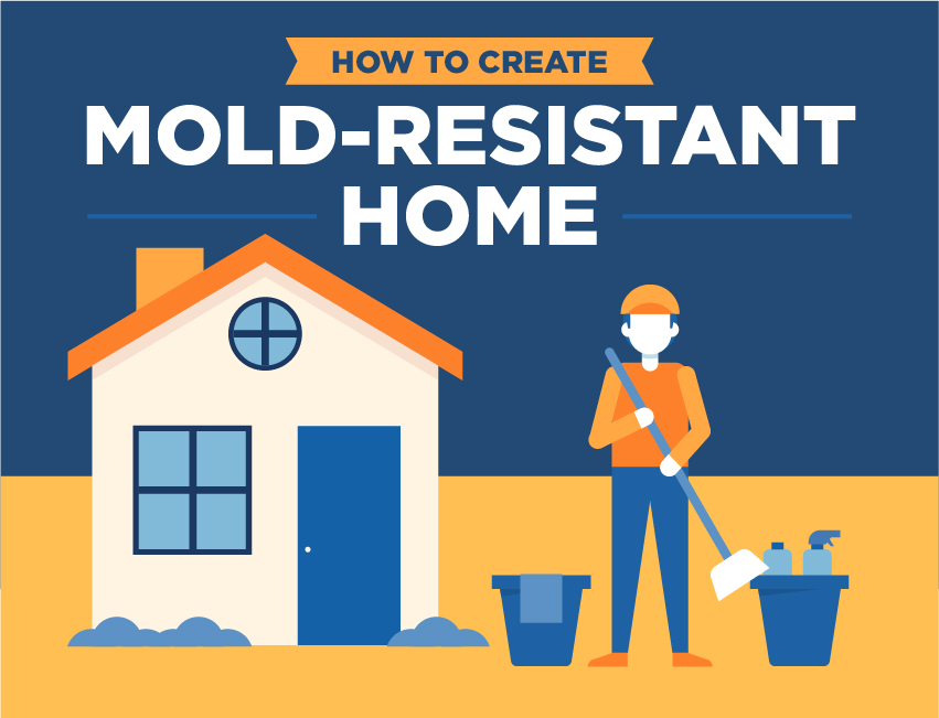 How to Create a MoldResistant Home BigRentz