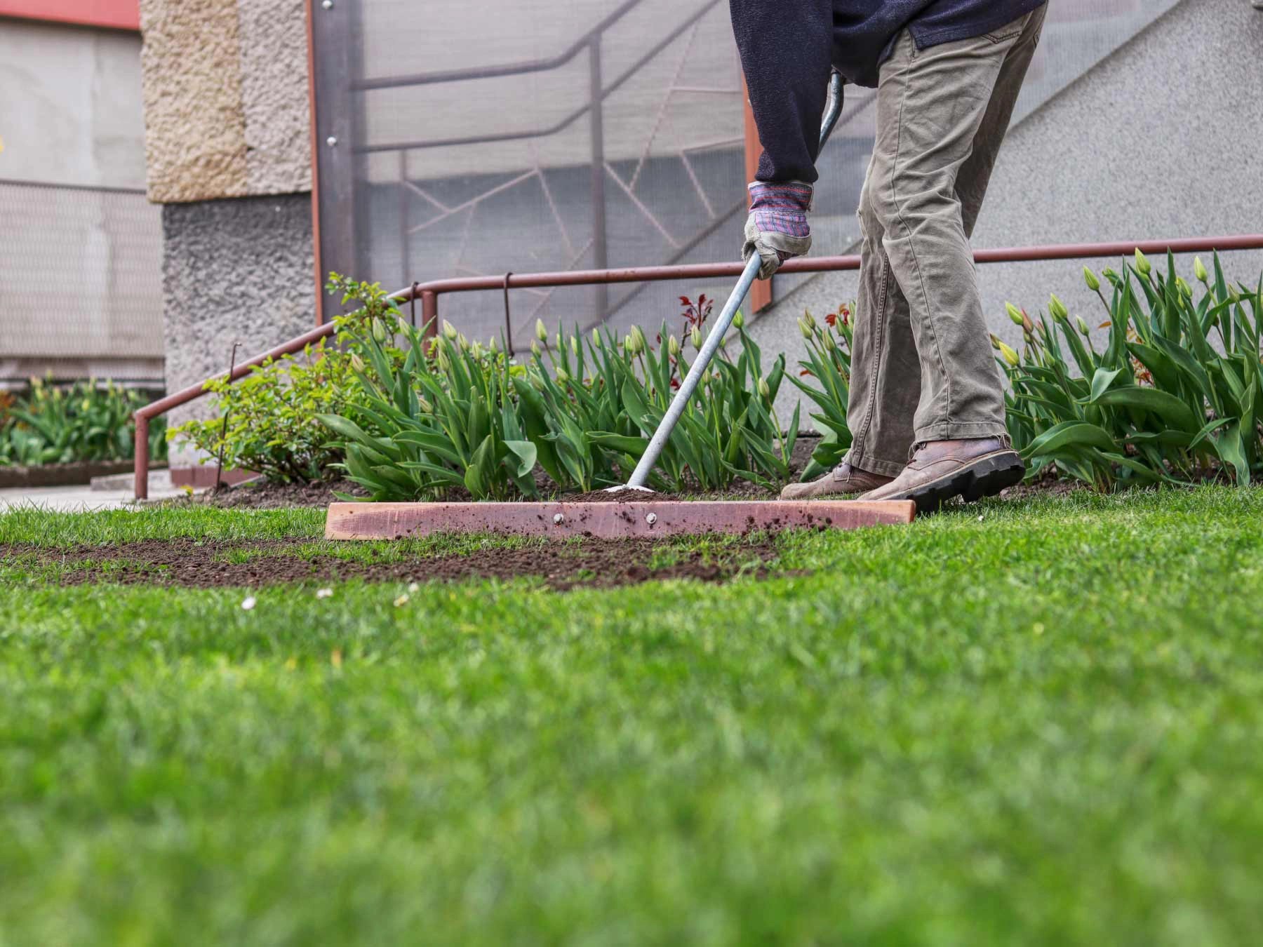 How to level a Yard in 10 Easy Steps BigRentz