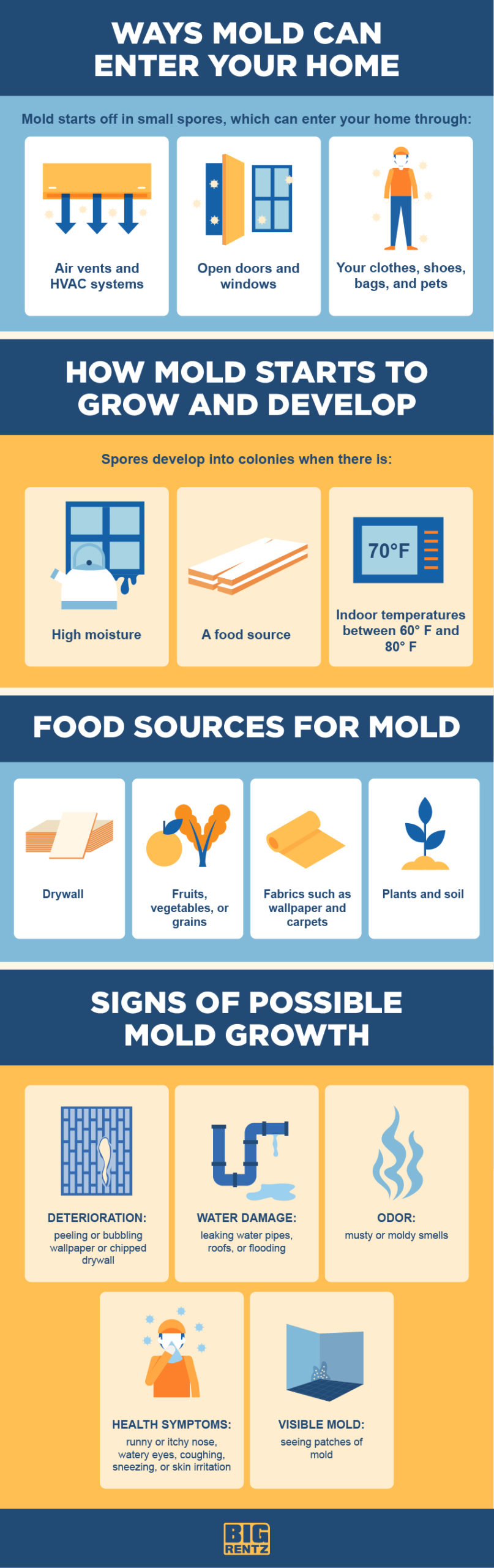 How to Create a MoldResistant Home BigRentz