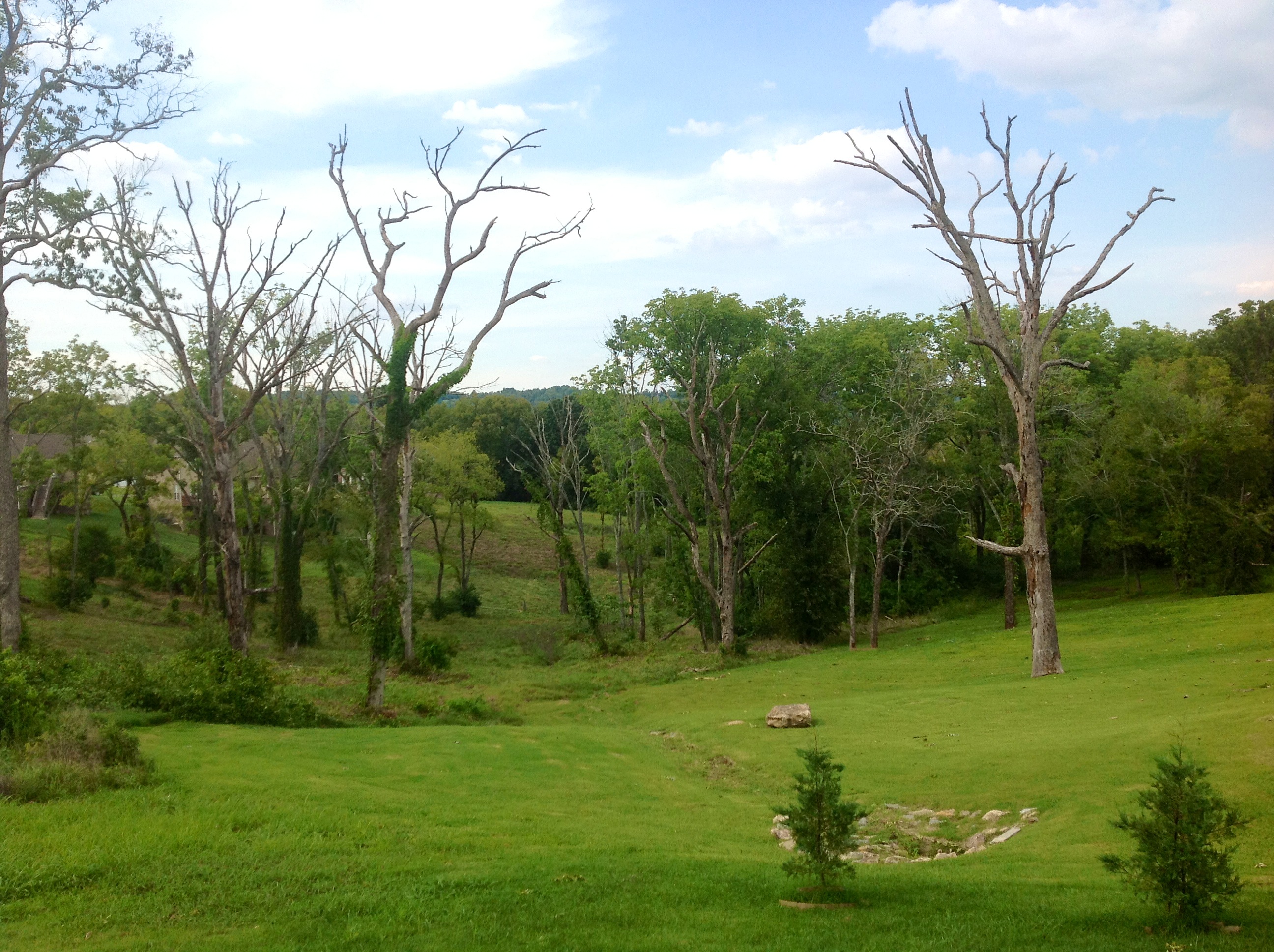 Exploring the wilderness of your backyard across time zones
