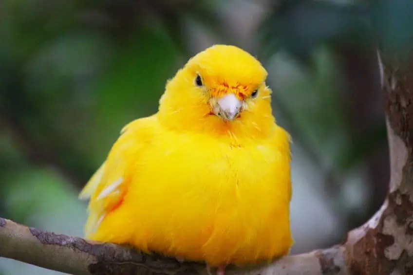 Unique Color Names Exploring Rare Color Names and Color Hex Codes (2023)