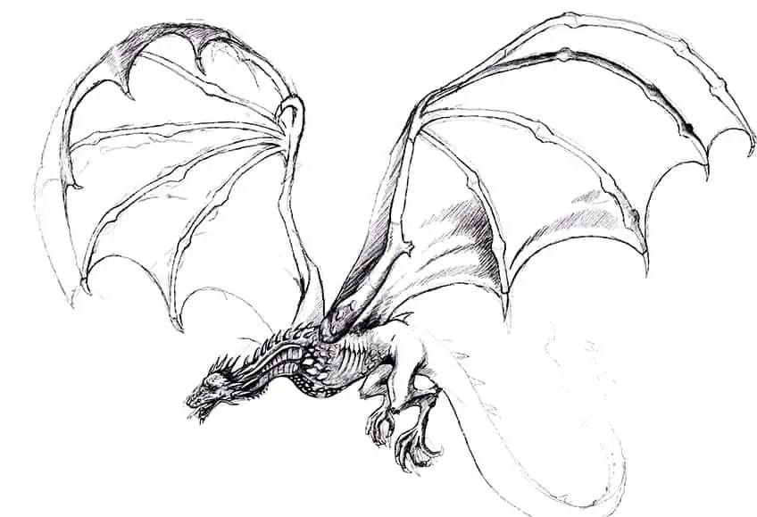 How To Draw A Dragon Flying Step By Step