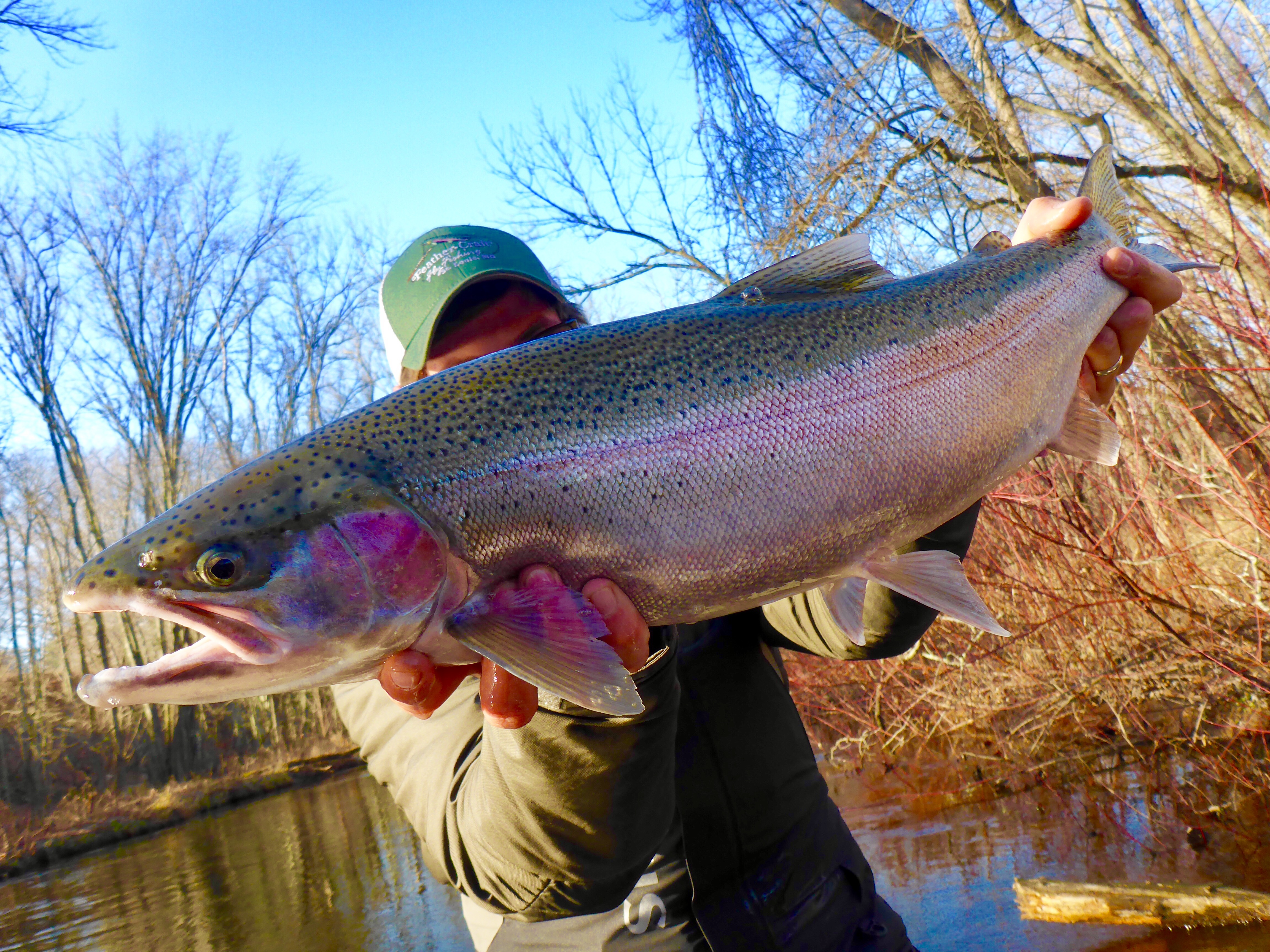 Angling Consulting Services A sales group that represents the fly