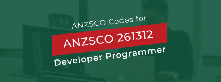 Developer Programmer ANZSCO 261312 ACS skill assesment